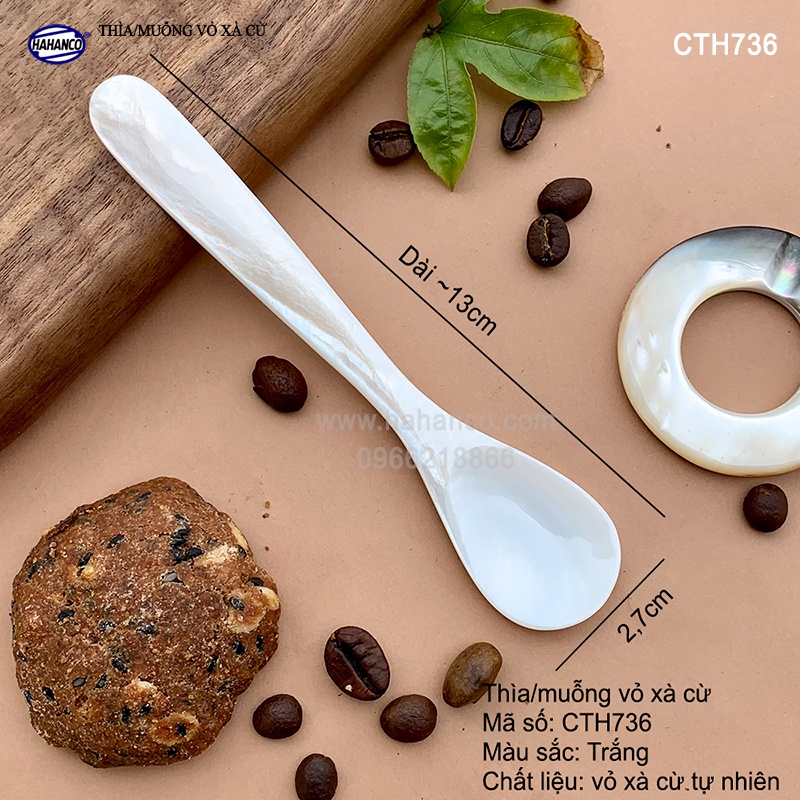 Thìa/Muỗng vỏ xà cừ xúc trứng cá hồi /ăn kem/xúc gia vị/cafe/decor (13cm) CTH736