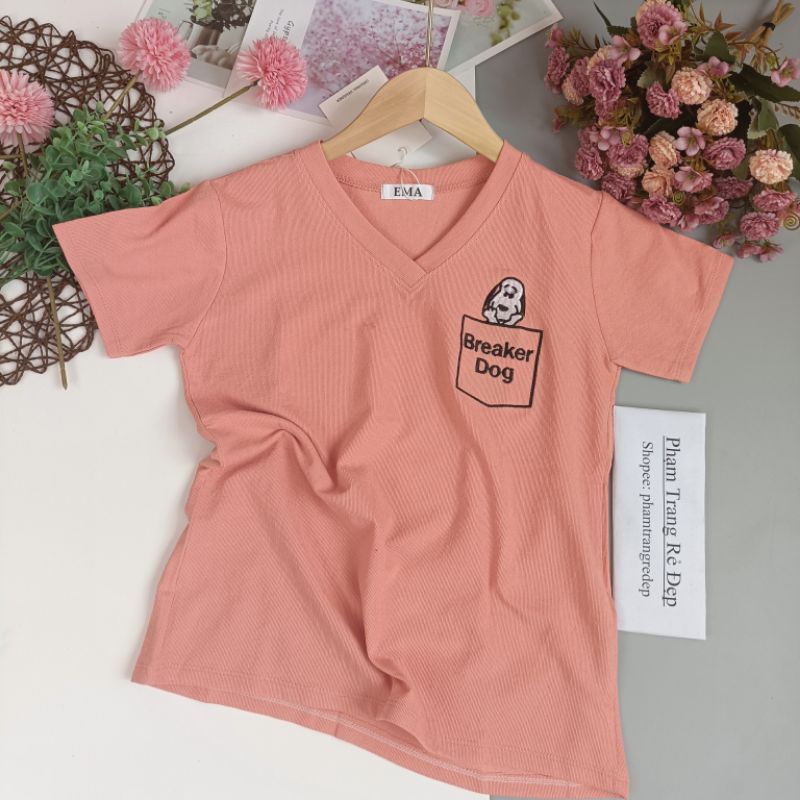 Áo phông in hình cún, Áo thun giấy gạo cổ tim dáng rộng, Chất cotton gạo mịn mát  AT57 - phamtrangredep shop