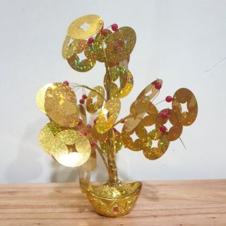 Cây đồng tiền tài lộc