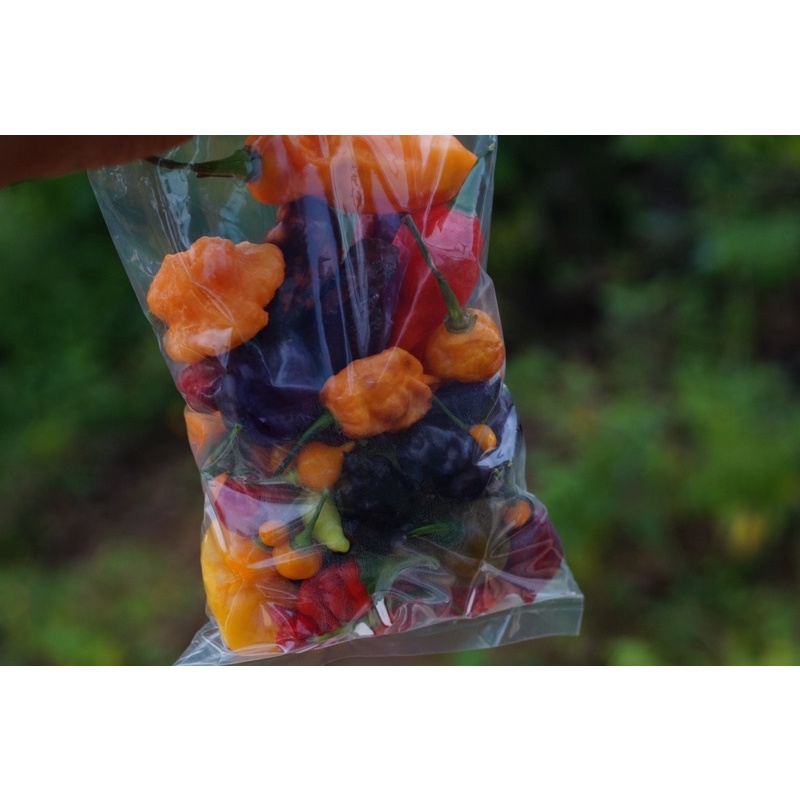 100 gram trái ớt tươi  mix đủ loại, đủ màu