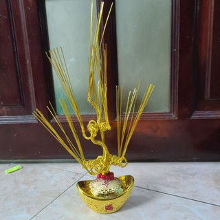 gốc kim tiền có kẽm sẵn 9 nhánh làm cây kim tiền cành vàng