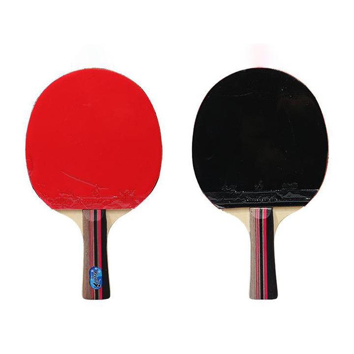 Vợt bóng bàn REGAIL - cốt vợt bóng bàn hàng loại đẹp tặng kèm 3 bóng .