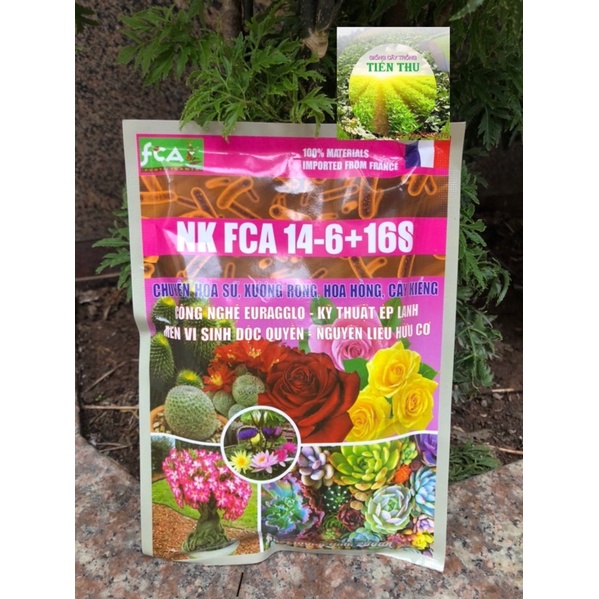 (SIÊU RẺ)Phân bón 14-6+16S (250gram) -NK dây chuyền Pháp 100% - Chuyên hoa sứ, xương rồng, hoa hồng cây kiểng