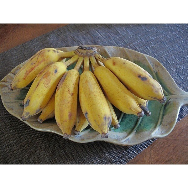 Chuối Tây tươi ngon - giao Hỏa Tốc