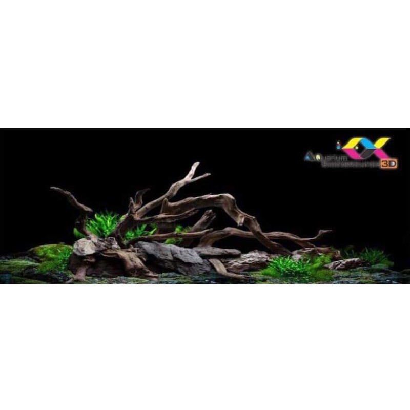 Tranh 3D dán bể cá