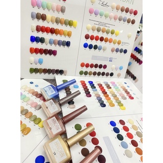 Set sơn dirse 56 màu