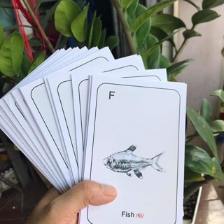 BỘ THẺ TRANH ANIMAL 4D