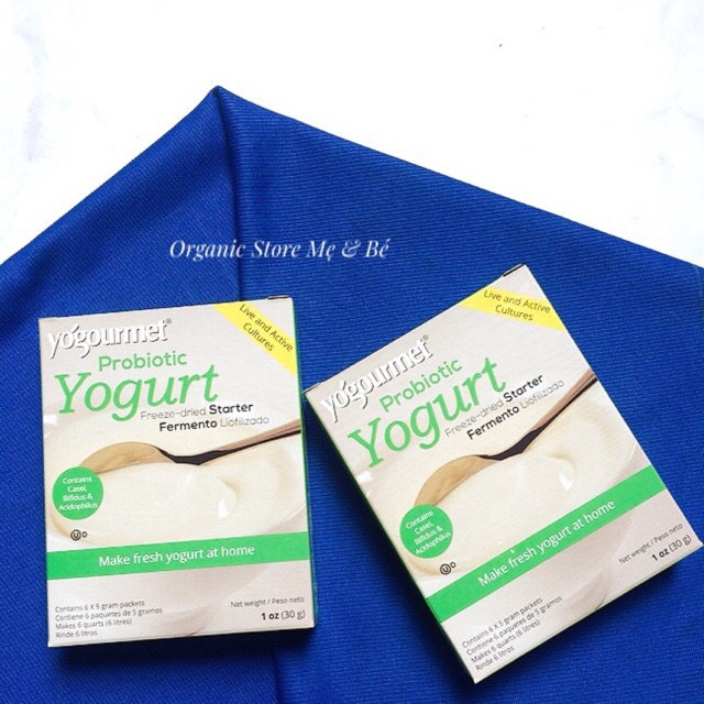 Men làm sữa chua Yogurt Probiotic