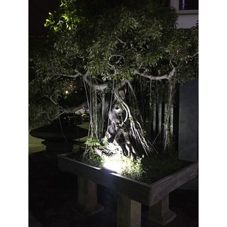 Đèn ốp trần năng lượng mặt trời