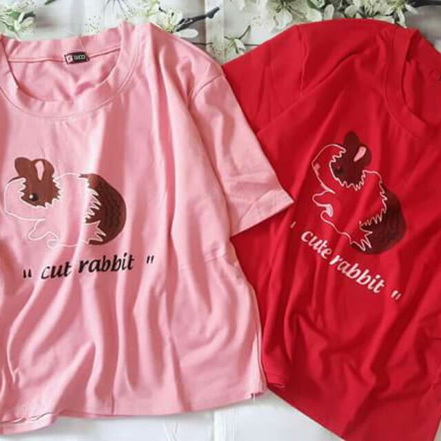 ÁO THUN combo 10 áo