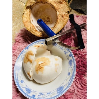 Dao nạo cơm dừa không mỏi tay