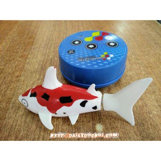 [hanoitoy] Cá mập mini điều khiển từ xa siêu dễ thương 3310B