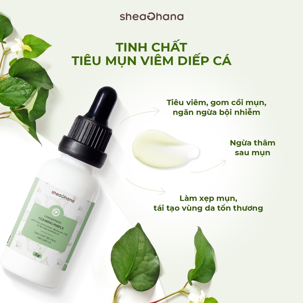 Tinh chất tiêu mụn diếp cá SheaGhana 25g