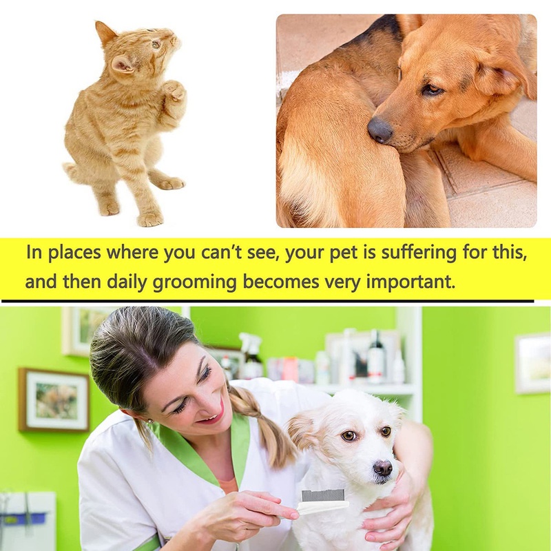 Lược Chải Lông Cho Thú Cưng Bằng Thép Không Gỉ