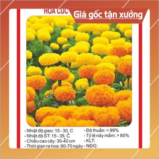 Combo 100k tùy chọn hạt giống hoa - 100gr hạt giống