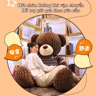 Gấu Bông Teddy