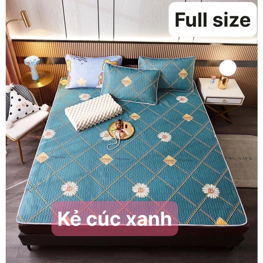 Chiếu điều hòa cao su non 5D Tencel,kích thước m6/m8, mẫu kẻ cúc xanh