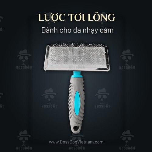 [pet]Lược chải lông chó mèo - Đầu răng tròn | BossDog