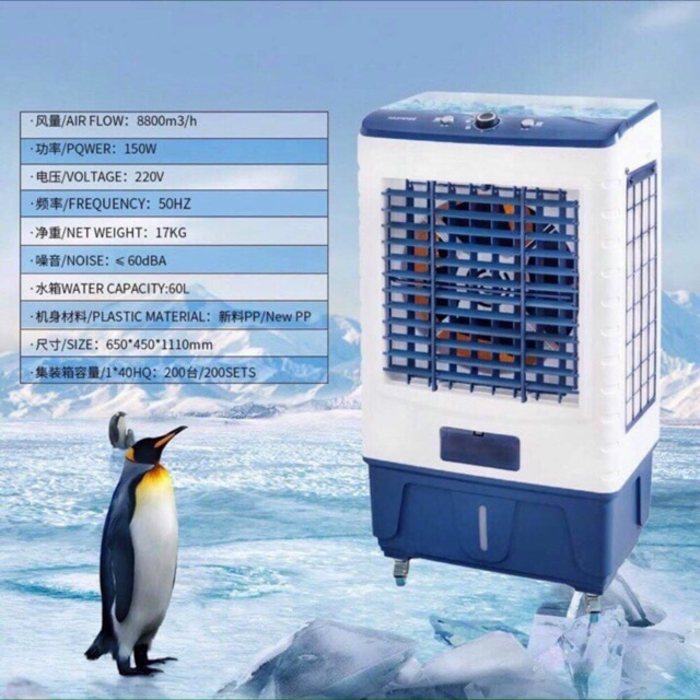 48xeum_8gaw1z4autujcwg6w366k