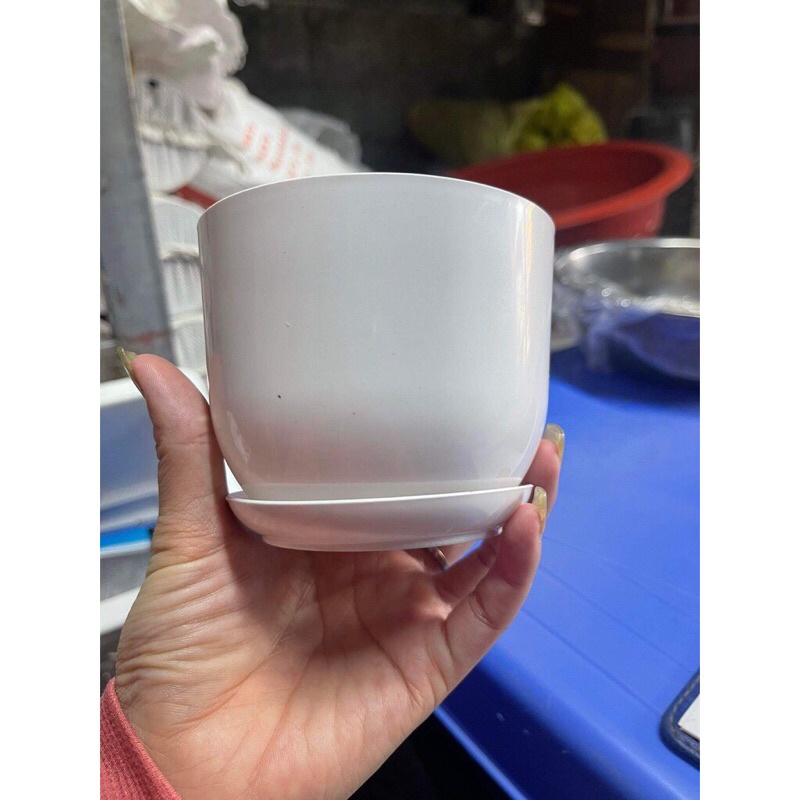 Chậu nhựa tròn giả sứ kèm đĩa trồng cây cảnh mini, sen đá, sương rồng kèm hàng dày đẹp ,sẵn kho