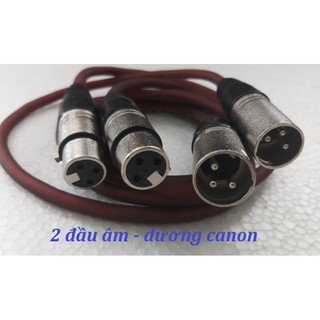 Combo 2 dây jack canon