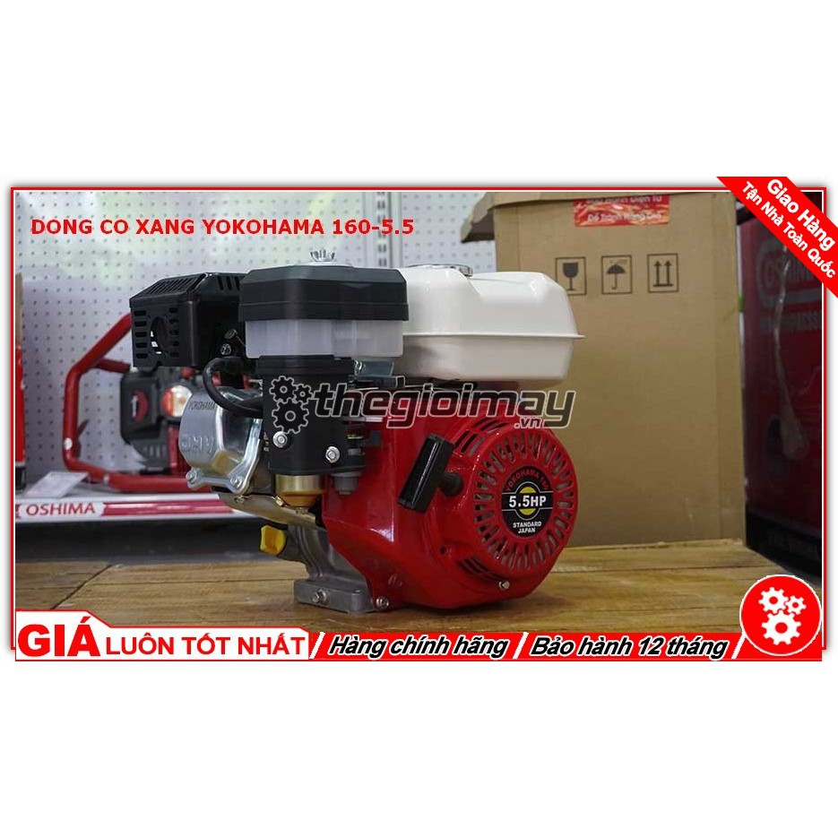 Máy Nổ Động Cơ Xăng Yokohama 5.5hp