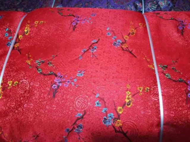 Gấm Tết Tết Tết