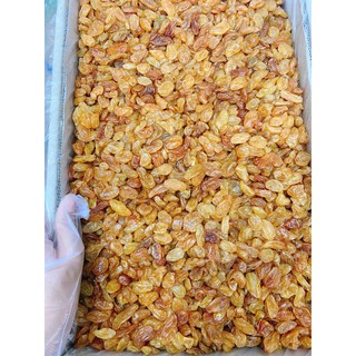 Nho vàng sấy khô xuất khẩu 500G