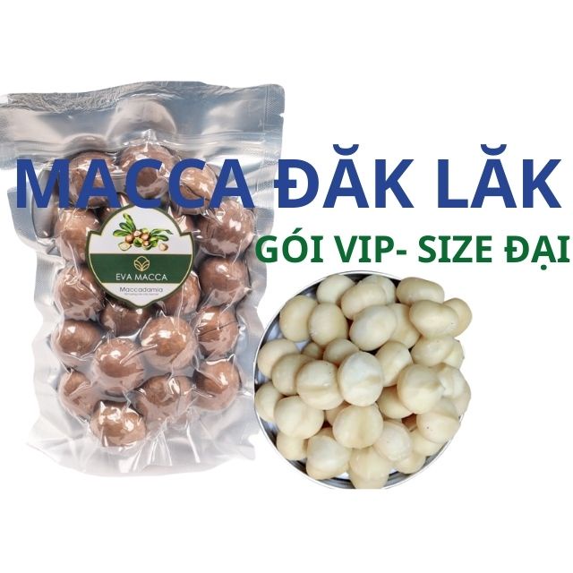 [Size Đại] Hạt Macca DakLak loại đặc biệt thơm ngon, Mắc ca Đăk Lăk hạt nứt vỏ,có chứng nhận ATVSTP, 500gam