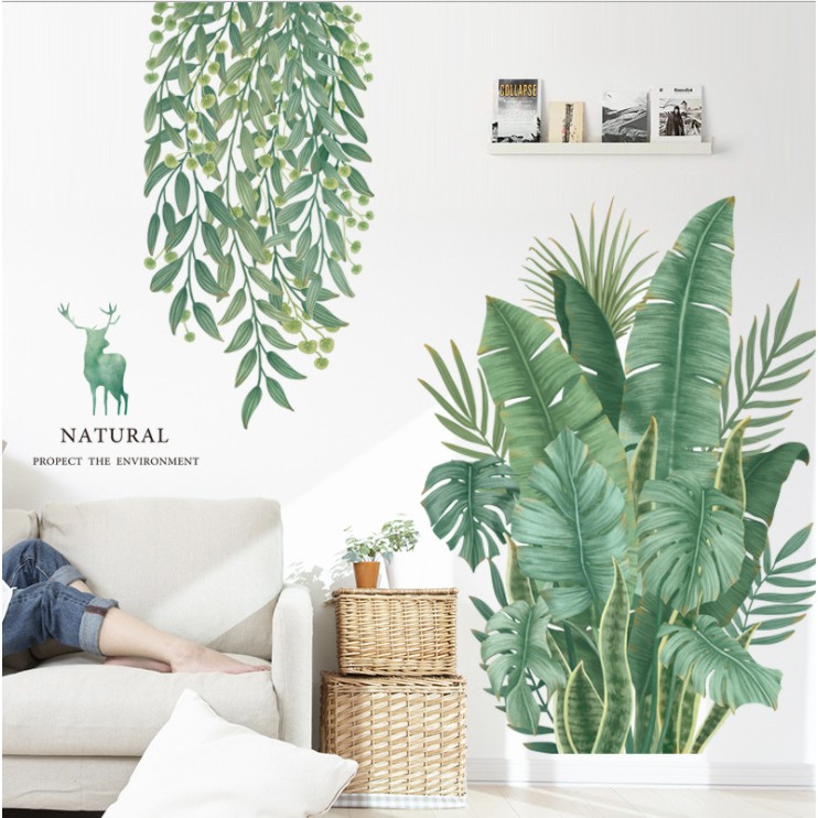 Decal trang trí tường - CÂY CHUỐI XANH DÂY LEO TƯƠI MÁT
