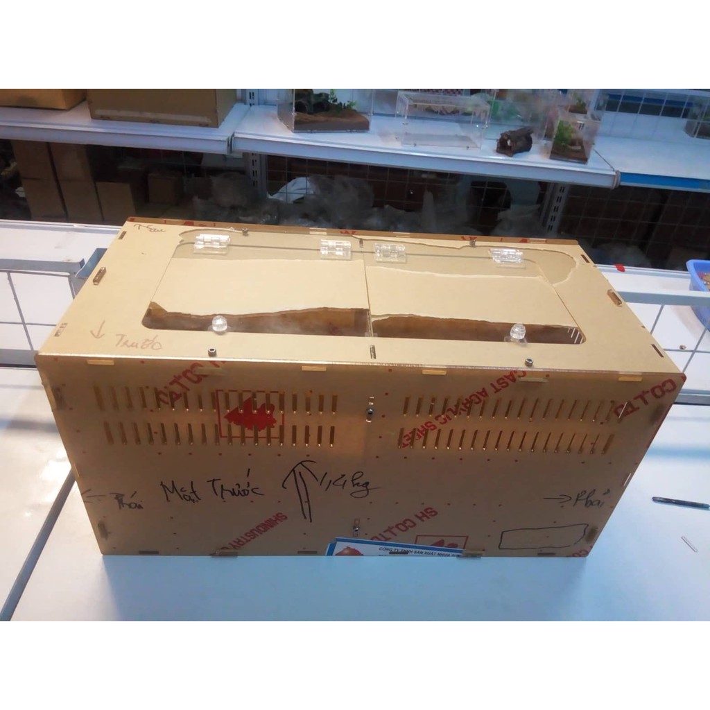 Hộp Nuôi Nhện 40-20-20 Hai Ngăn tank tarantula