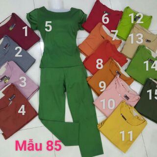 Combo 20 bộ thun cotton mịn