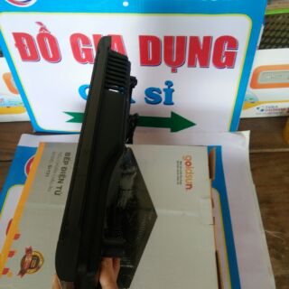 BẾP TỪ CẢM ỨNG GOLDSUN GI-T21