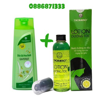 Combo dầu gội hoa bưởi ngăn rụng tóc và  tinh dầu bưởi kích thích mọc tóc thorakao 150ml