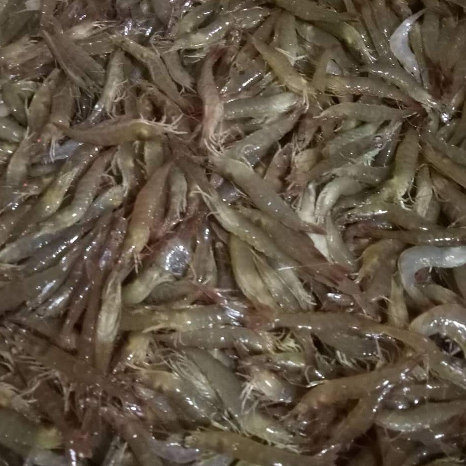 Tôm Khô Vinh Kim Loại 1 200g/1 túi