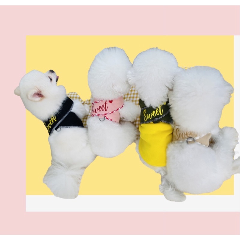 Áo dắt chó mèo SWEET Hàn quốc kèm dây dắt