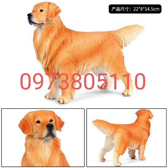 Mô Hình Chó Golden Retriever Size To