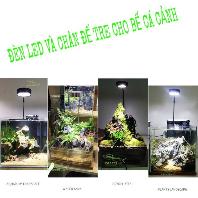ĐÈN LED ÁNH SÁNG TRẮNG VÀ CHÂN ĐẾ GỖ CHO BỂ CÁ CẢNH VÀ TIỂU CẢNH