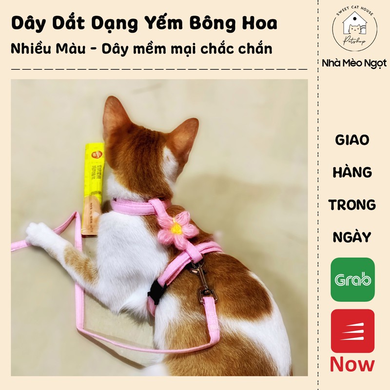 Dây Dắt Hoa Chó Mèo Cổ Yếm Thú Cưng Đi Dạo Chắc Chắn | Nhà Mèo Ngọt