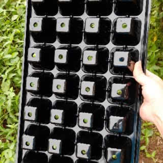 10 Khay Ươm Cây Giống 32 Lỗ