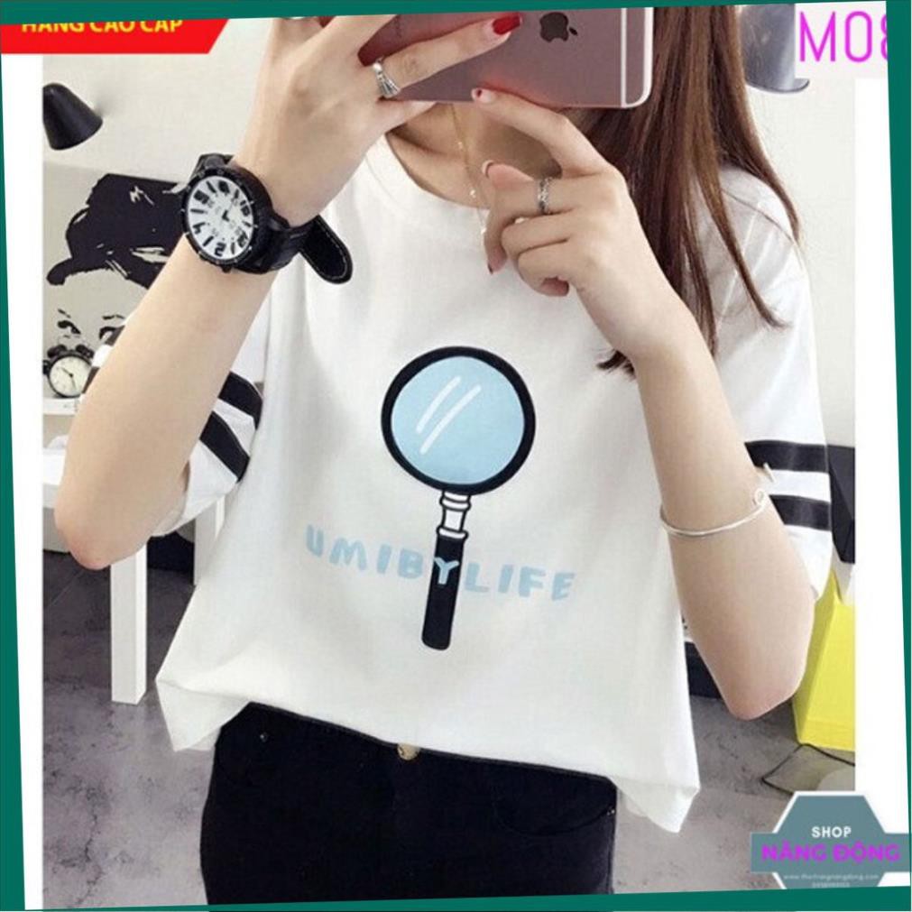 Áo Phông 💙FREESHIP💙 Áo thun nữ tay ngắn chất đẹp, thun cotton, mát, sành điệu in kính lúp Mã: S08 💖