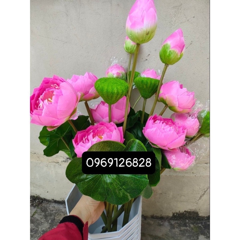 hoa giả Cành sen thái 3 bông ,1 nụ,1 đài cao cấp trang trí . ảnh thật Shop chụp