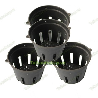 5 Chậu nhựa trồng lan phi 14 màu đen - CN5