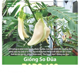 Hạt Giống So Đũa 2gr