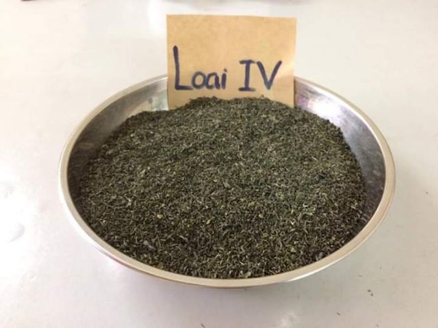 1KG TRÀ TẤM. TRÀ CÁM PHA TRÀ ĐÁ. HÚT ẨM( Trà Thái Nguyên, chè xanh, chè búp) | BigBuy360 - bigbuy360.vn