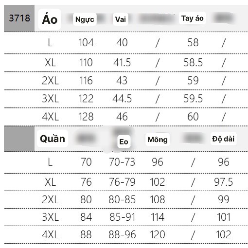 [Có ảnh thật] Set áo khoác và quần nữ cỡ lớn cá tính, khí chất TK03