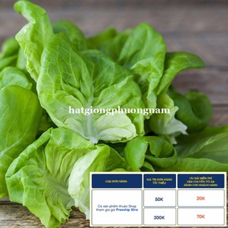 2GR - HẠT GIỐNG XÀ LÁCH BÚP MỠ (ĐĂM)