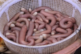 Sá sùng khô Vân Đồn 200g