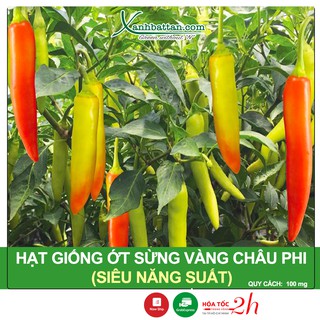 Hạt Giống Ớt Sừng Vàng Châu Phi (Africa) Siêu Cay, Siêu Năng Suất 100 mg