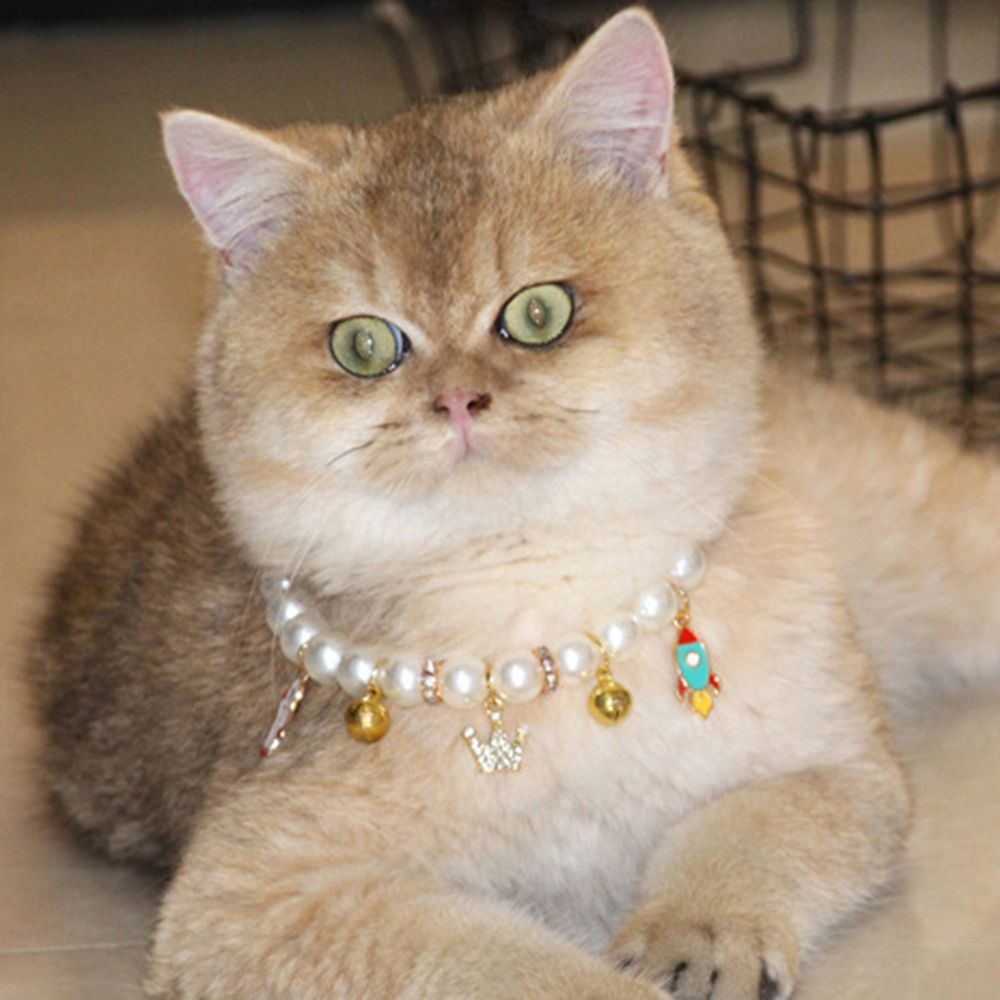 Vòng đeo cổ đính ngọc trai nhân tạo tinh tế dành cho chó mèo